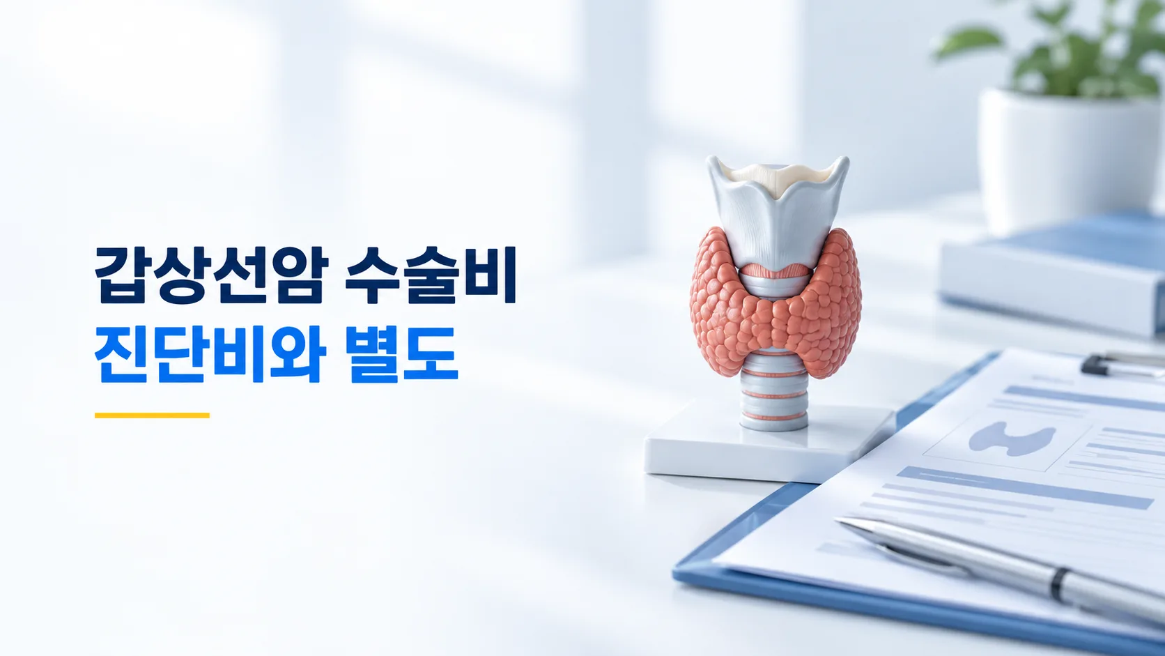 갑상선암 수술비 확인 가이드 카드뉴스